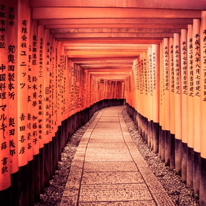 Sequenza di torii al&nbsp;Fushimi Inari Taisha di&nbsp;Kyoto